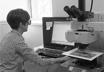 Museum work conservation